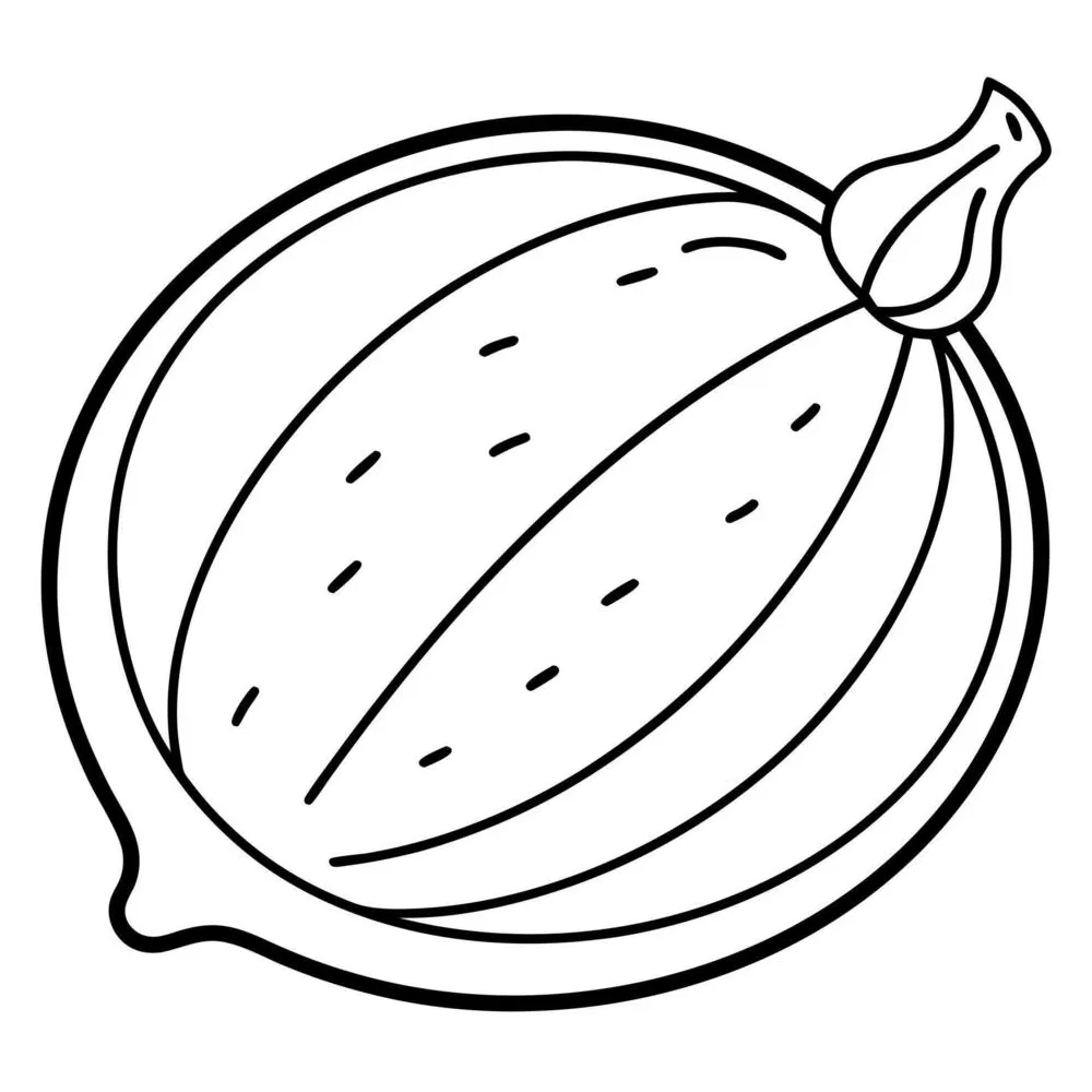 A coloring page of an food nutmeg with no color just black lines