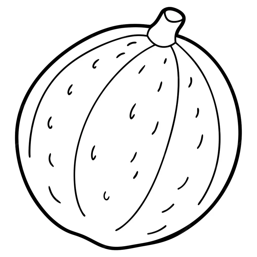 A coloring page of an food nutmeg with no color just black lines vector
