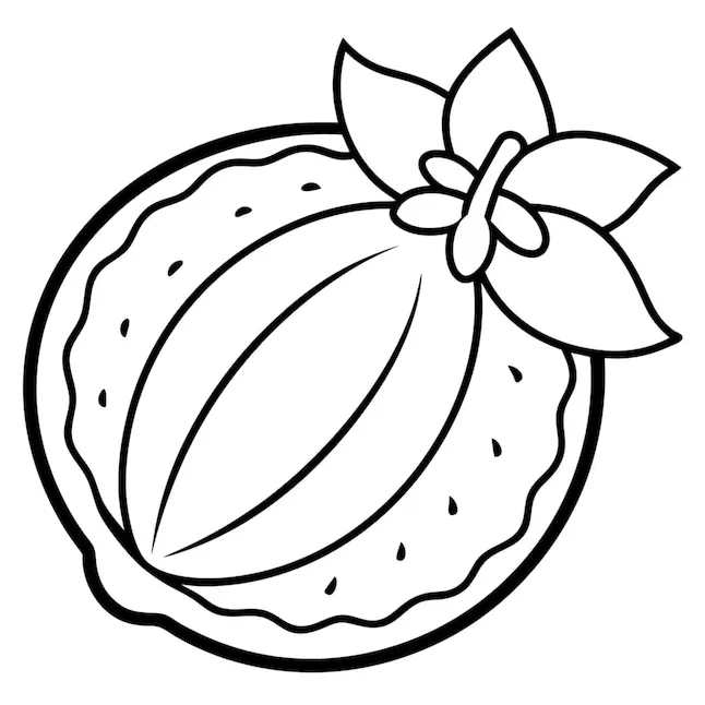A coloring page of an food nutmeg with no color just black lines vector