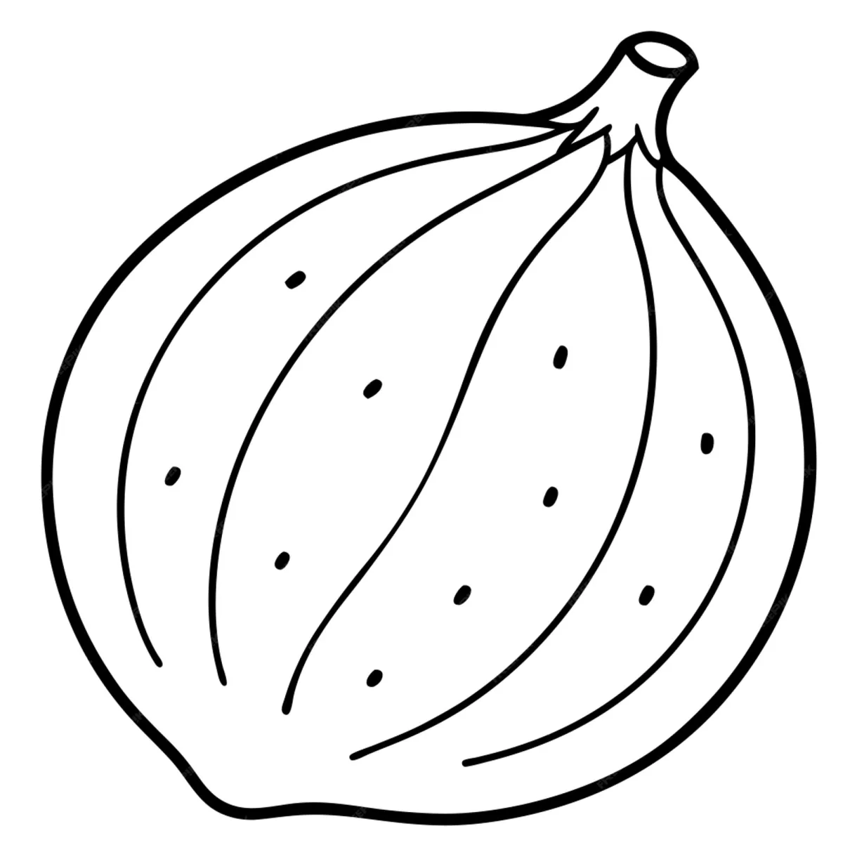 A coloring page of an food nutmeg with no color just black lines vector
