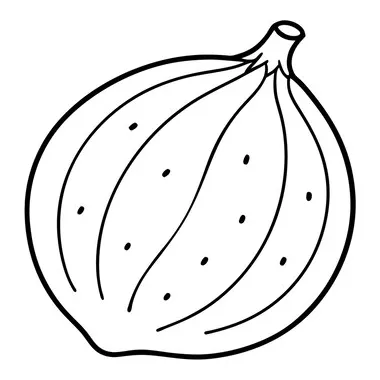 A coloring page of an food nutmeg with no color just black lines vector