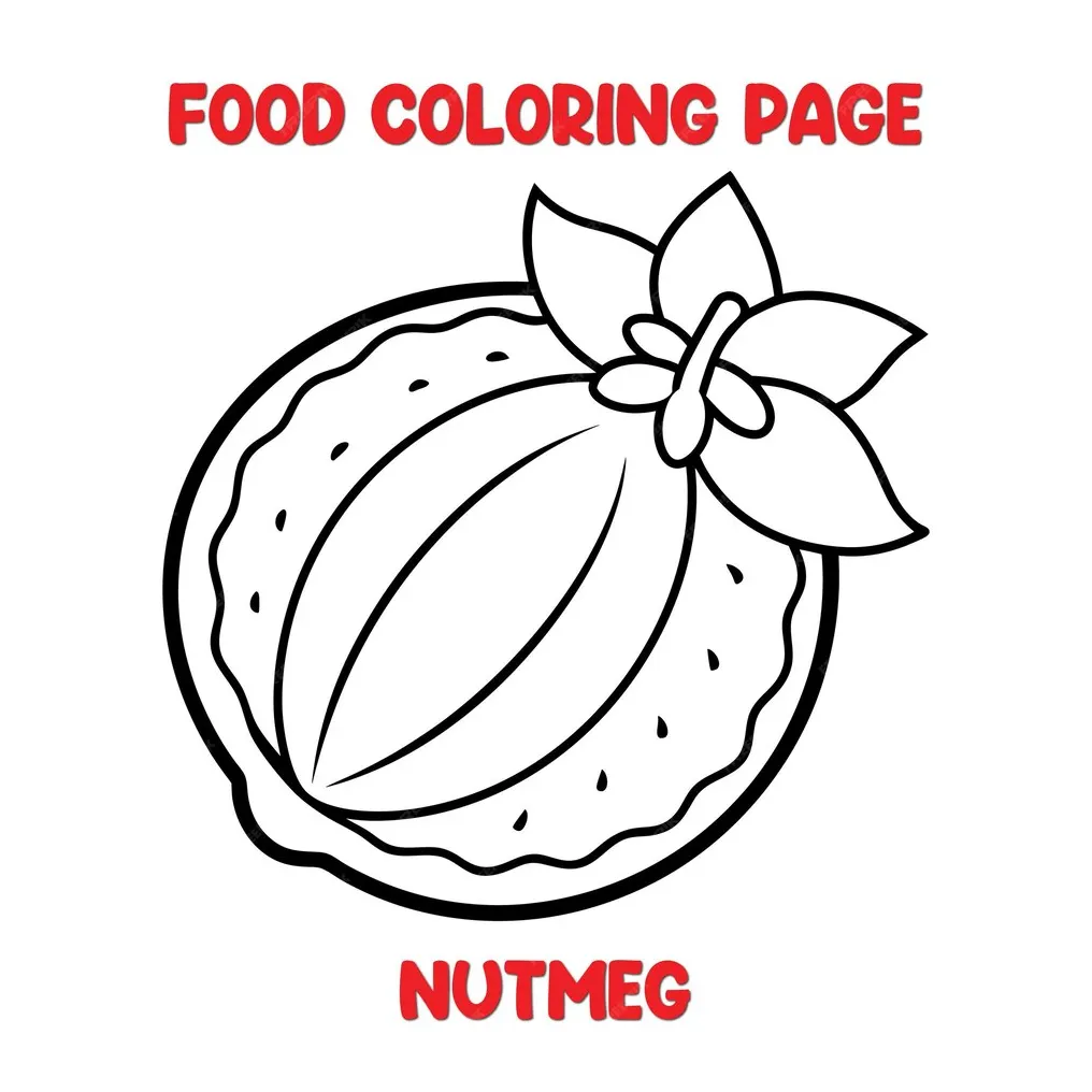 Premium vector vector of nutmeg illustration coloring page for kids