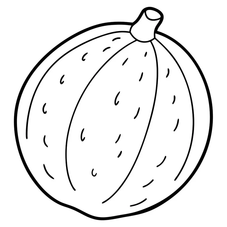 A coloring page of an food nutmeg with no color just black lines vector
