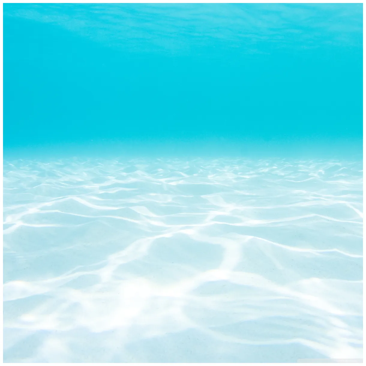 Ocean underwater u for ultra and tv