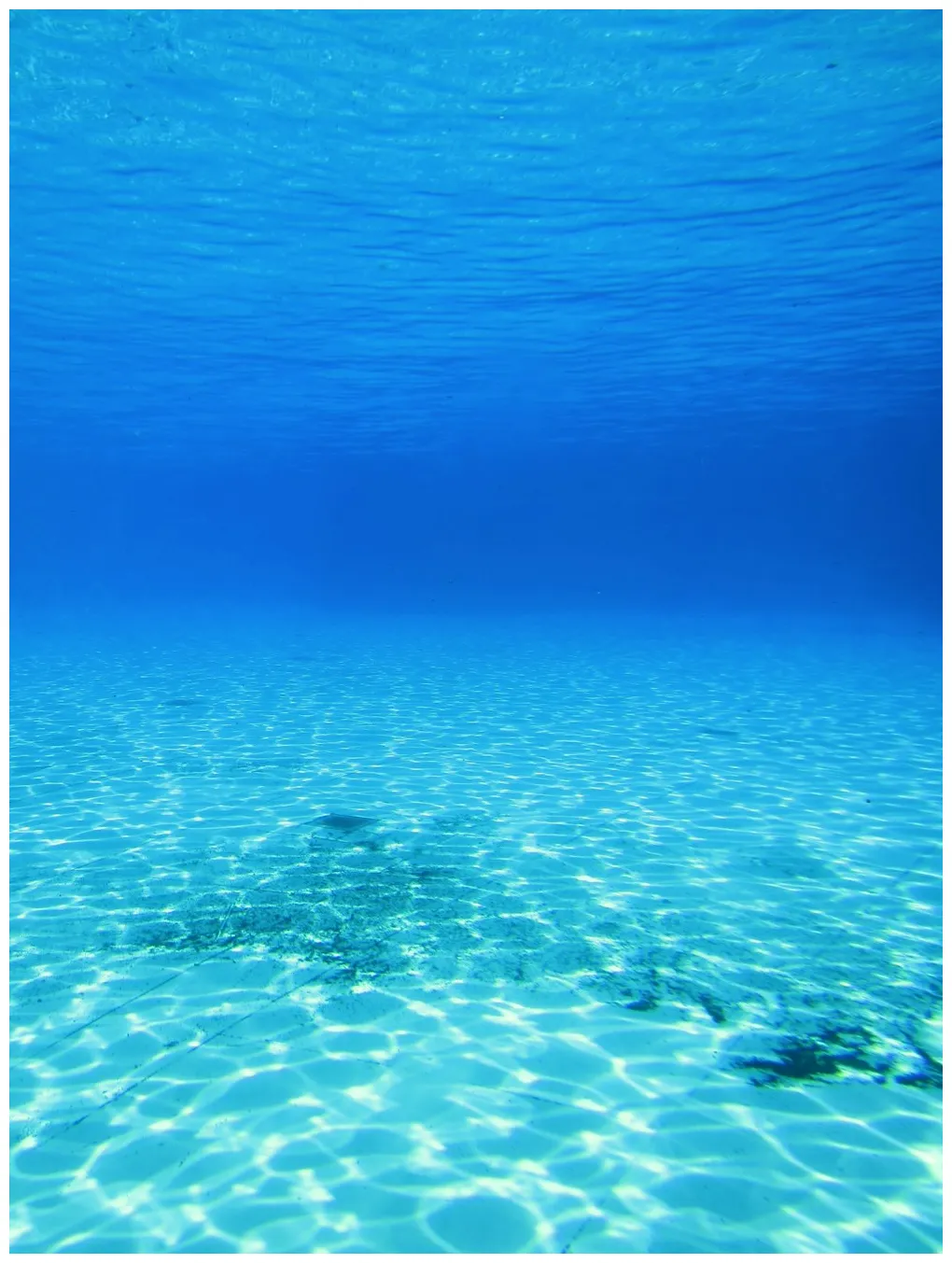 An underwater view of a blue ocean with clear water free blue