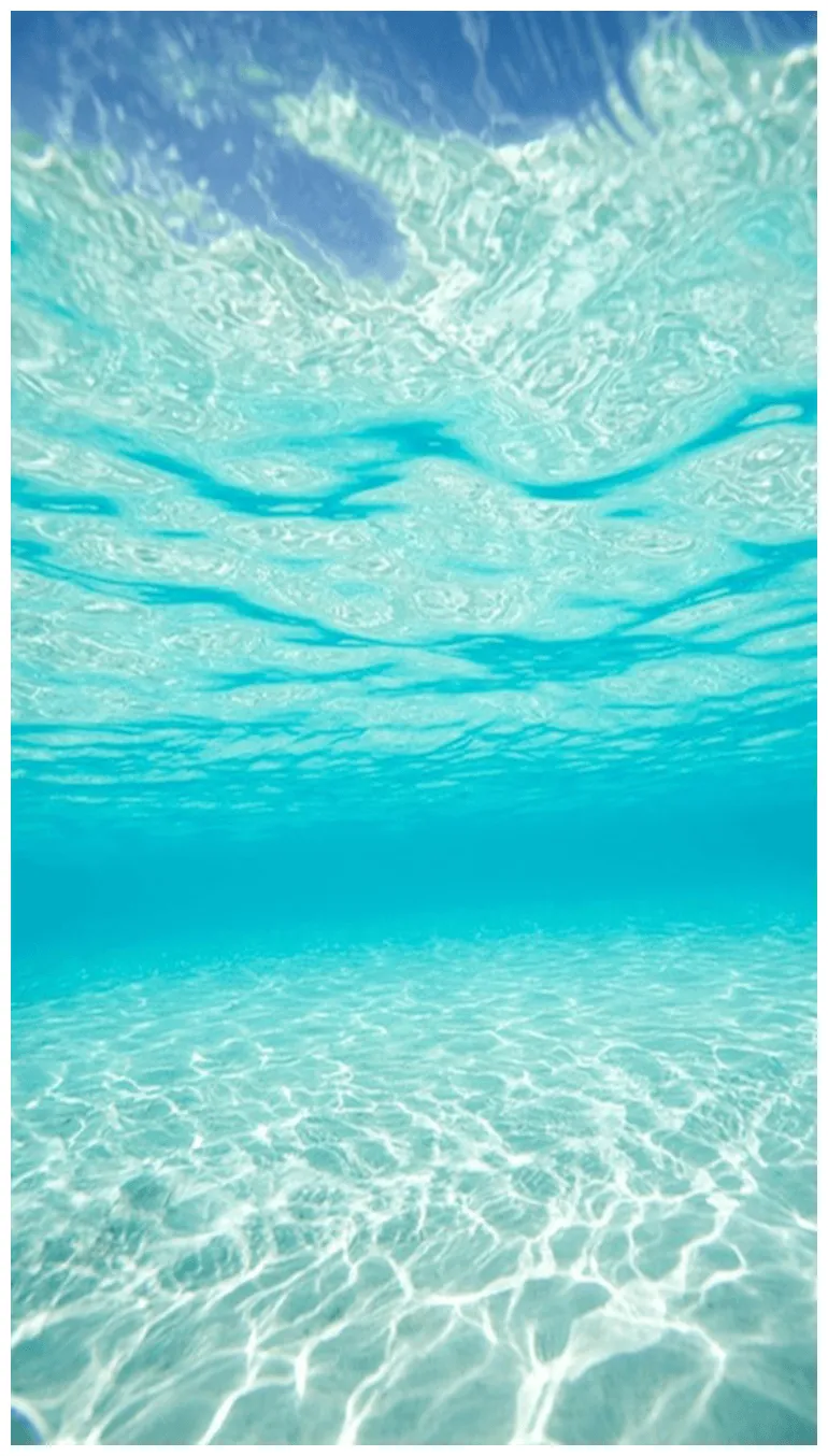 Underwater Ocean Wallpapers on WallpaperDog