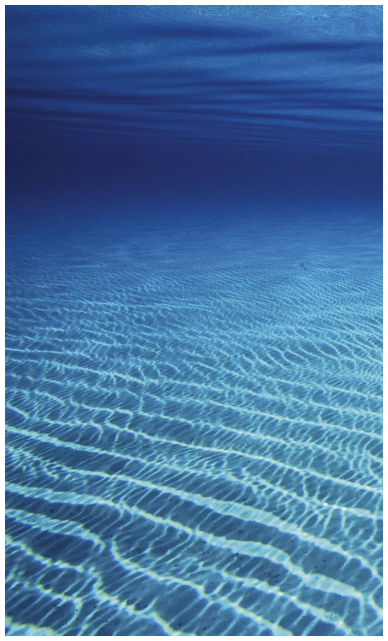 🔥 [80+] Ocean Floor Wallpapers | WallpaperSafari