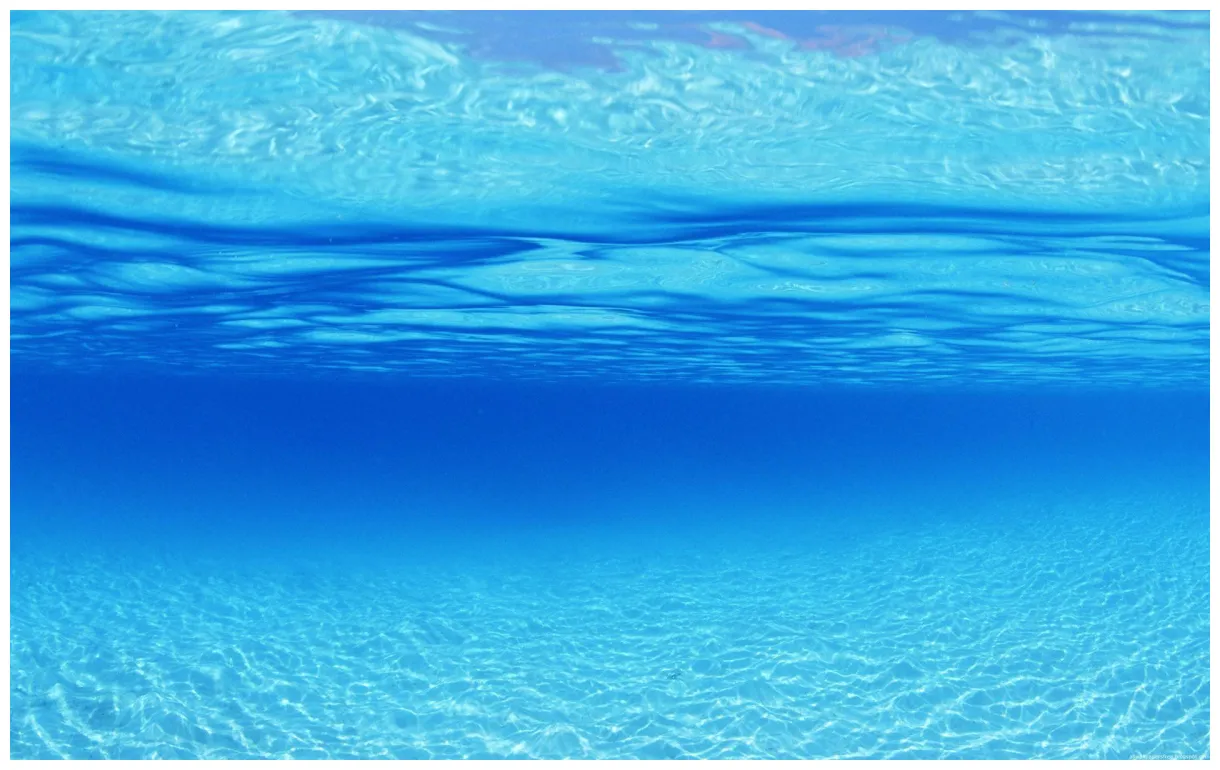 Underwater ocean s top free underwater ocean