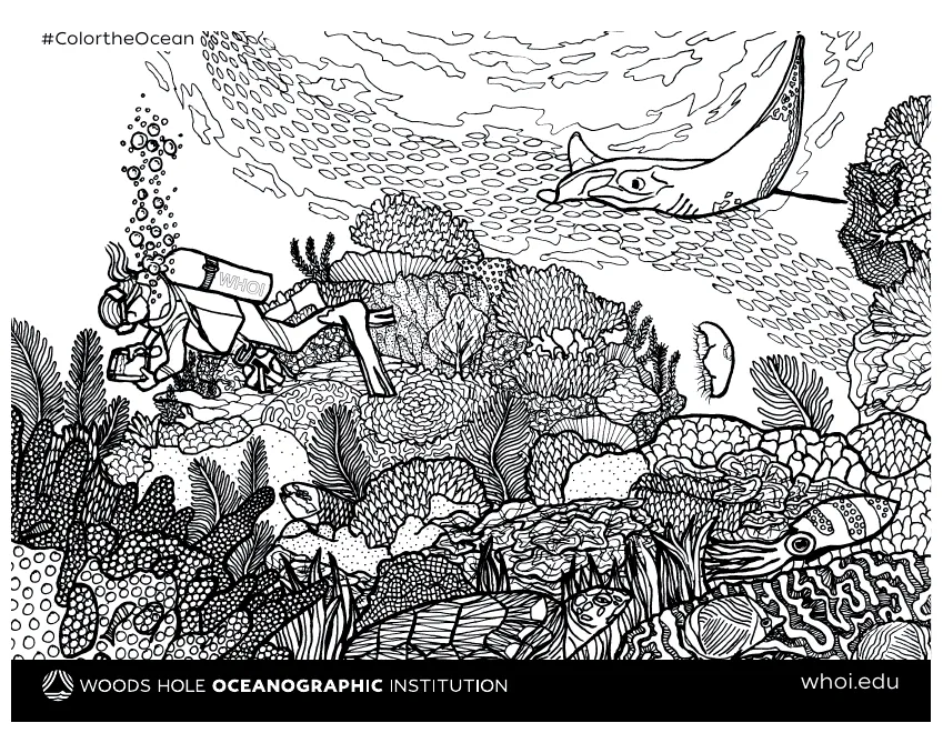 Ocean coloring page download printable pdf templateroller