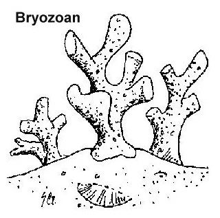 At getcolorings free printable