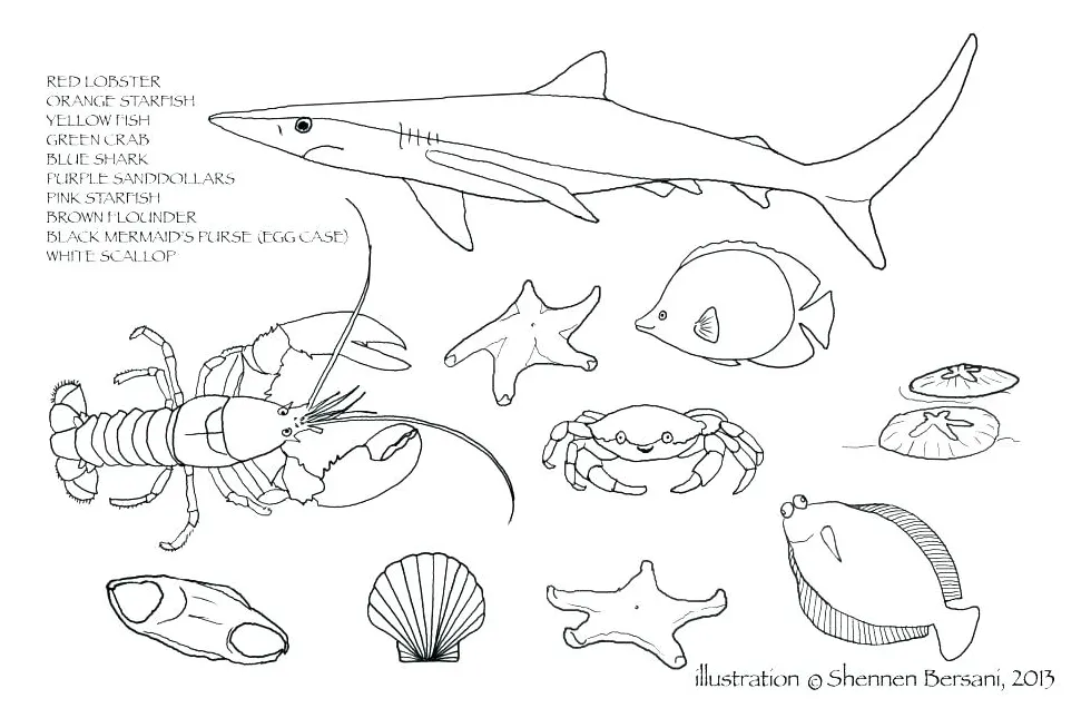 At getcolorings free printable