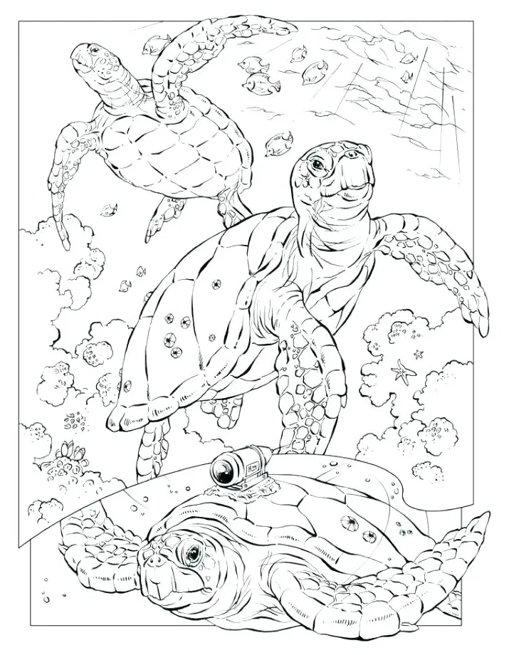 At getcolorings free printable