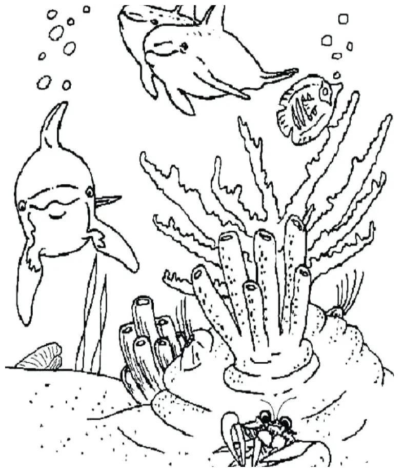 At getcolorings free printable