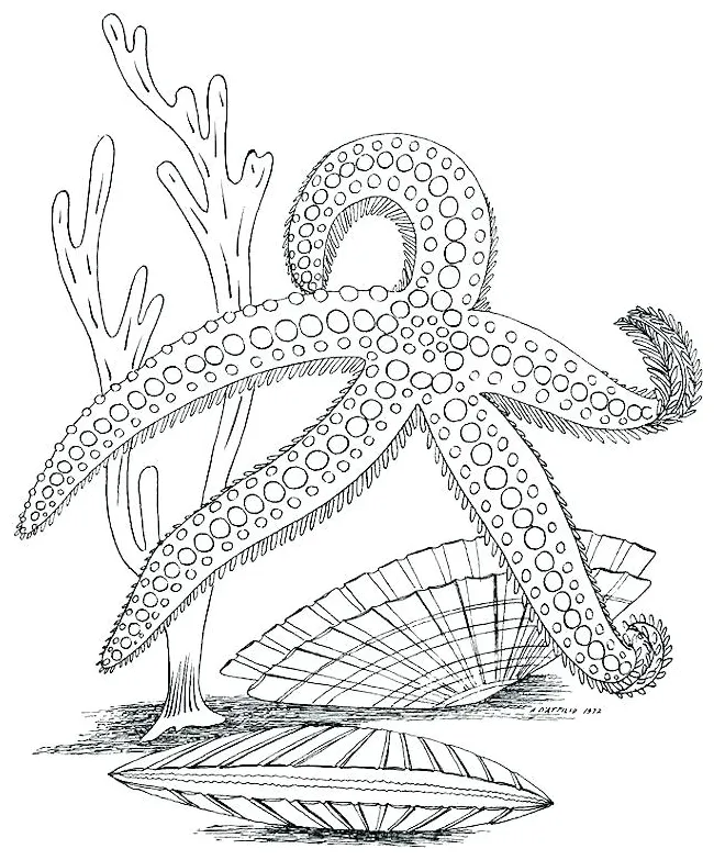 At getcolorings free printable