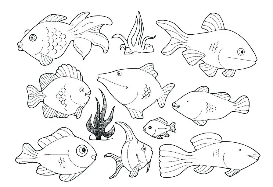 At getcolorings free printable printable coloring page