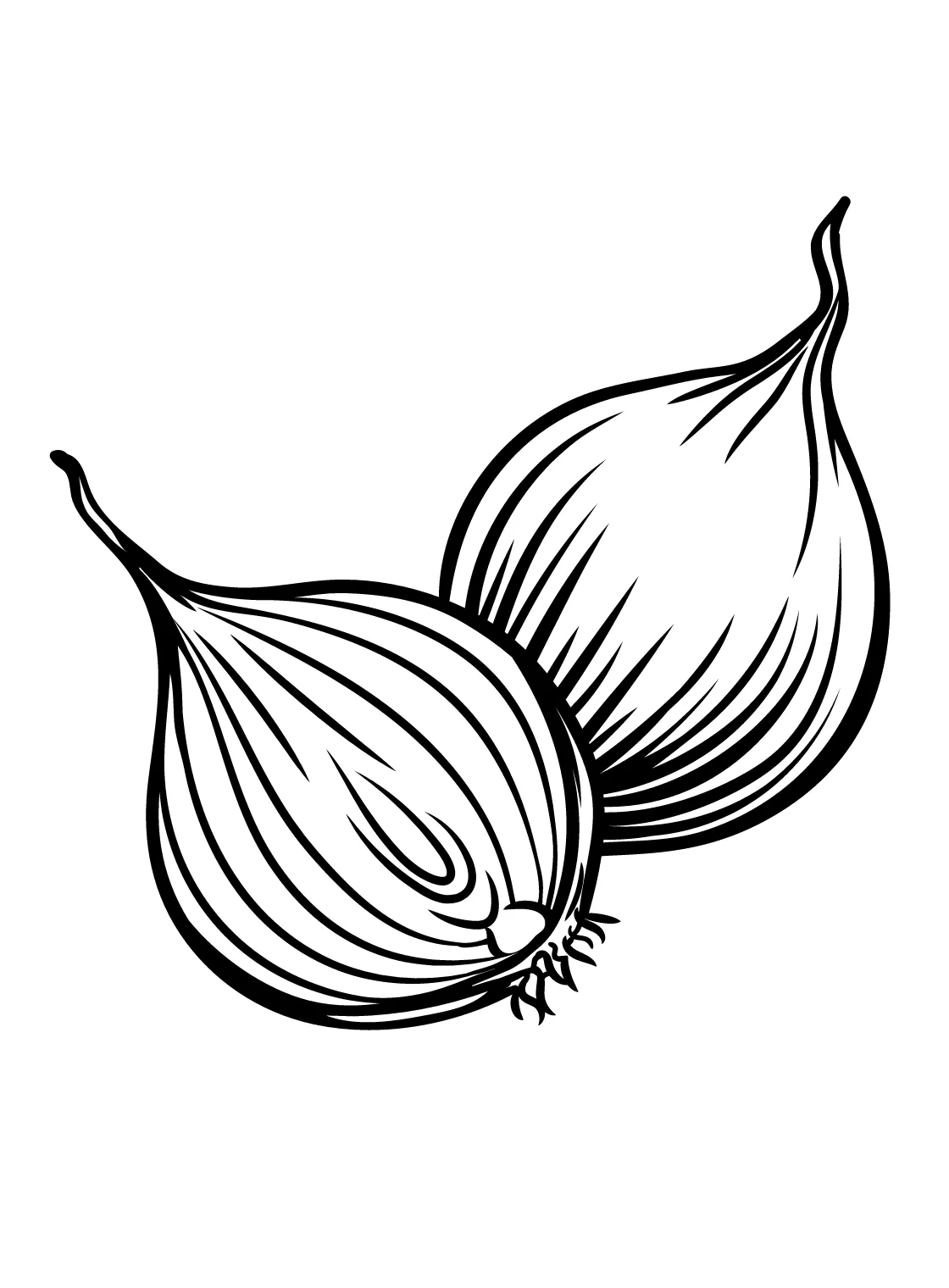Onion to print coloring page free printable coloring pages