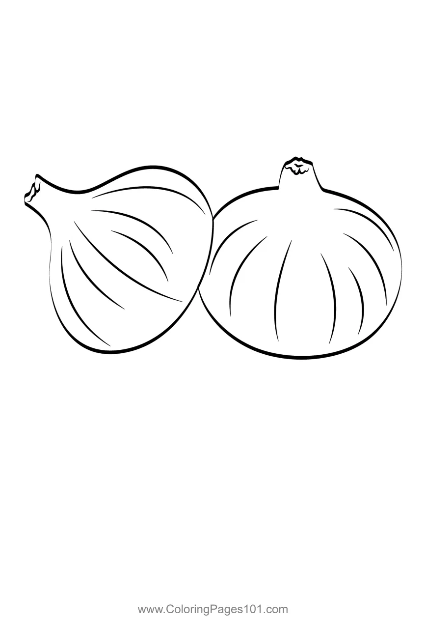 Onion 1 coloring page for kids free onions printable coloring pages