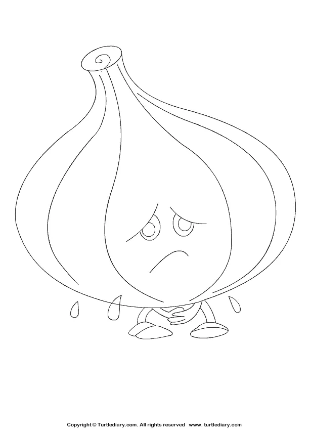 Onion coloring sheet turtle diary