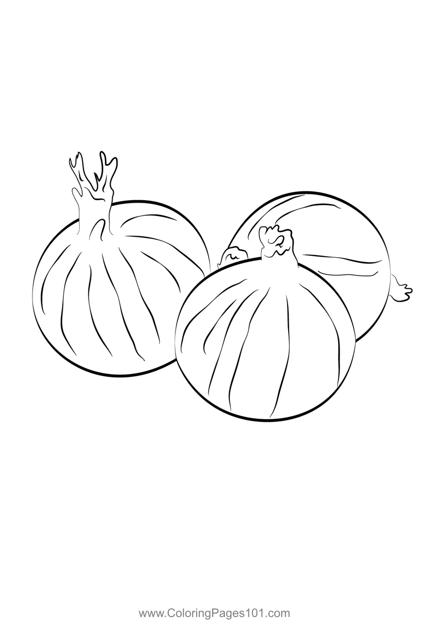 Onion 3 coloring page for kids free onions printable coloring pages