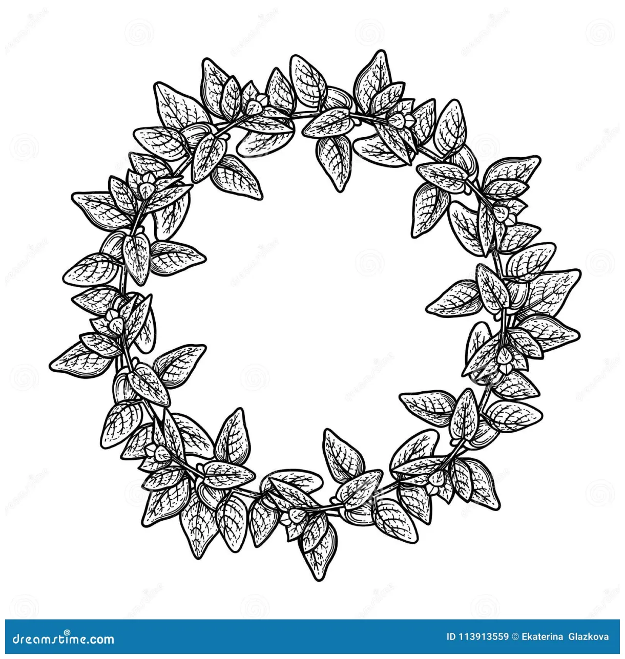 Graphic oregano wreath stock vector. illustration of botany 113913559