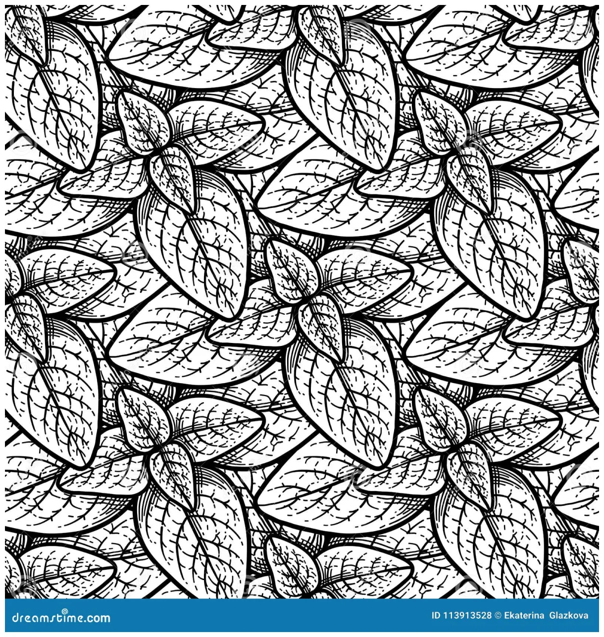 Graphic oregano pattern stock vector. illustration of condiment 113913528