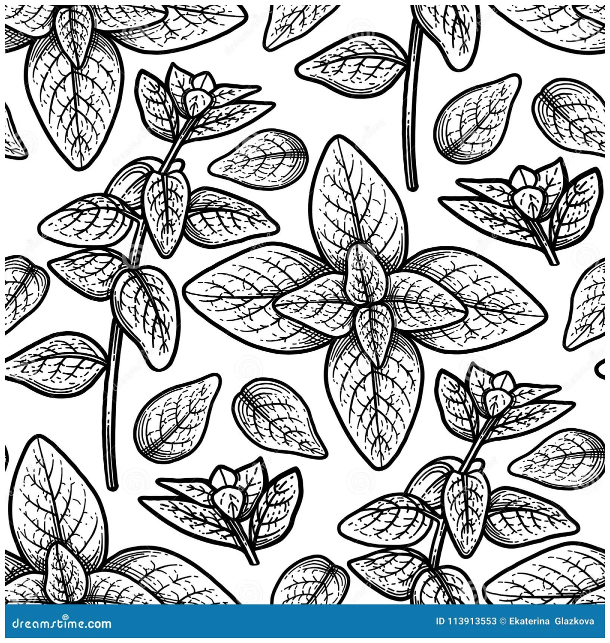 Graphic oregano pattern stock vector. illustration of fabric 113913553