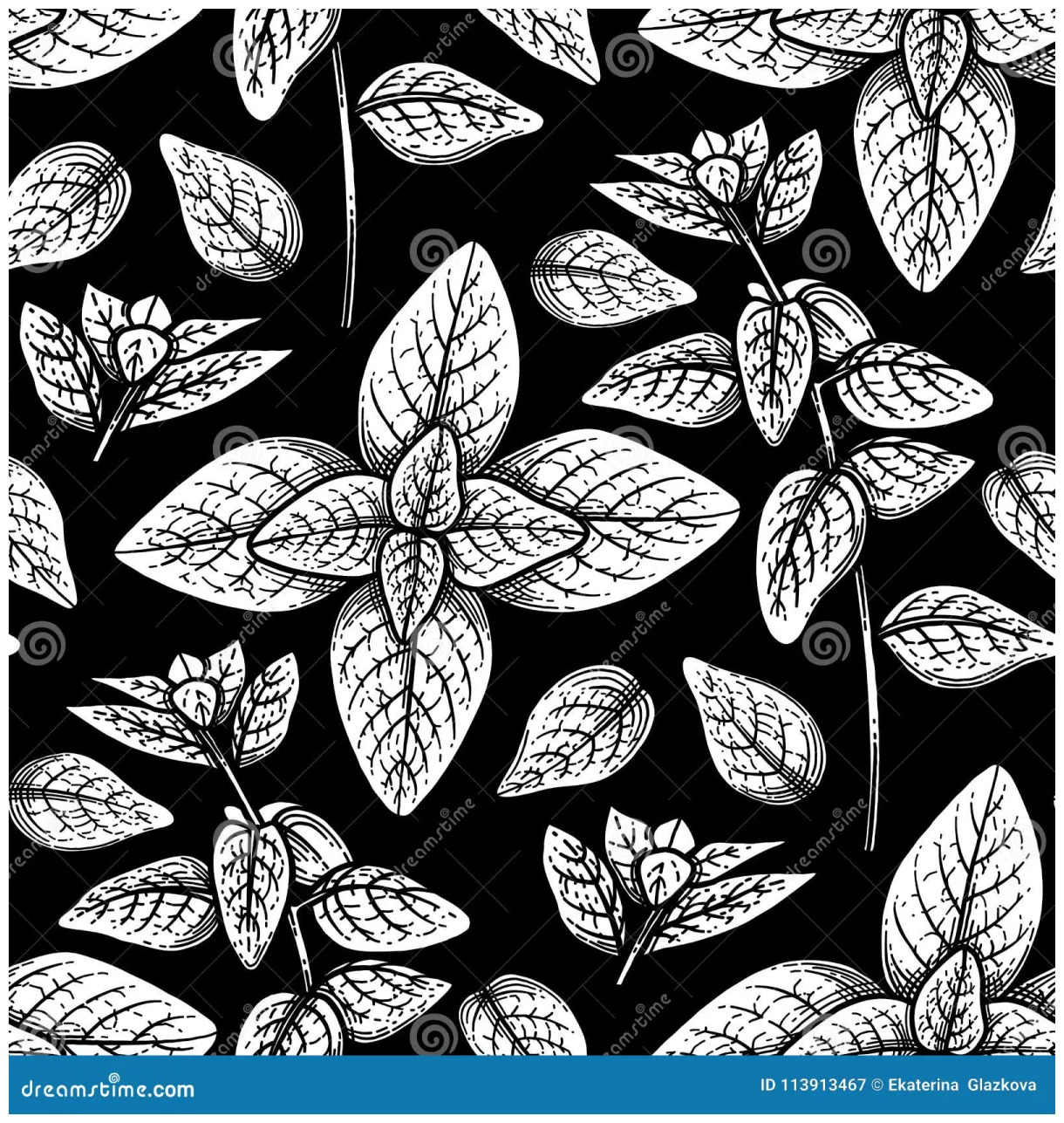Graphic oregano pattern stock vector. illustration of page 113913467