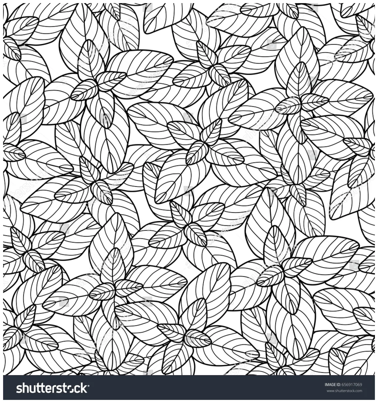Graphic oregano seamless pattern coloring book stock vector royalty
