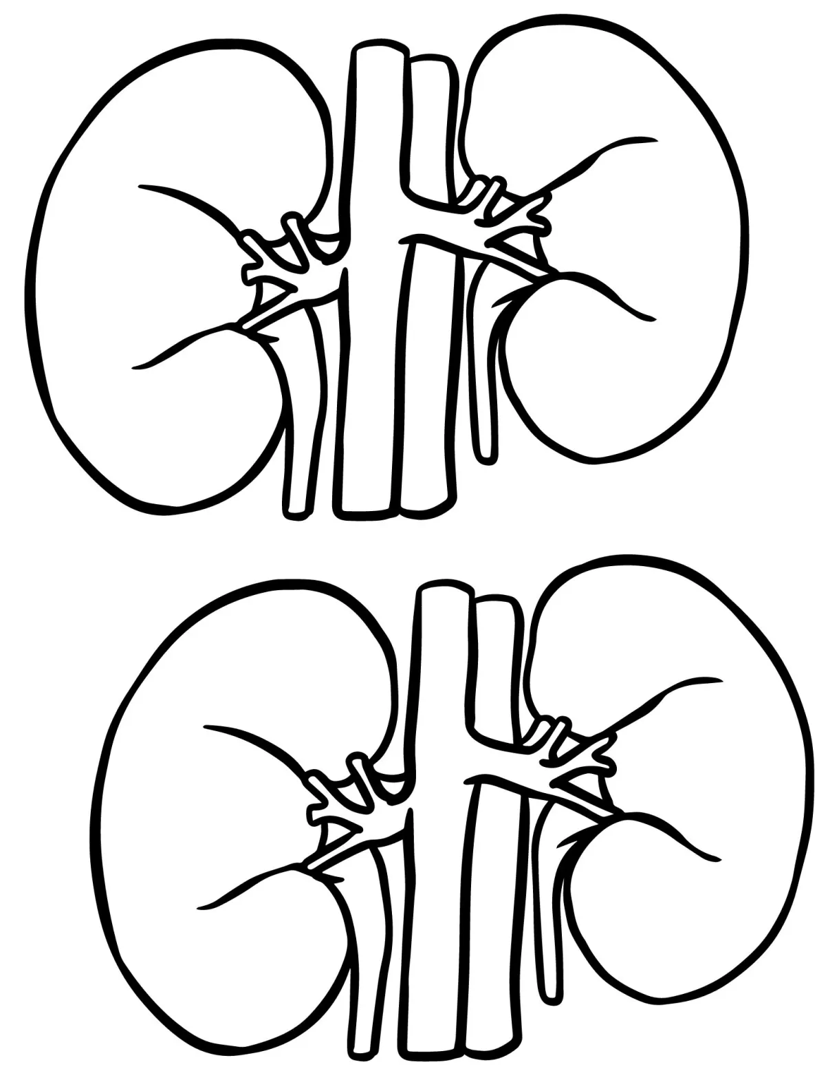 Organ coloring pages, adult coloring pages, printable coloring pages