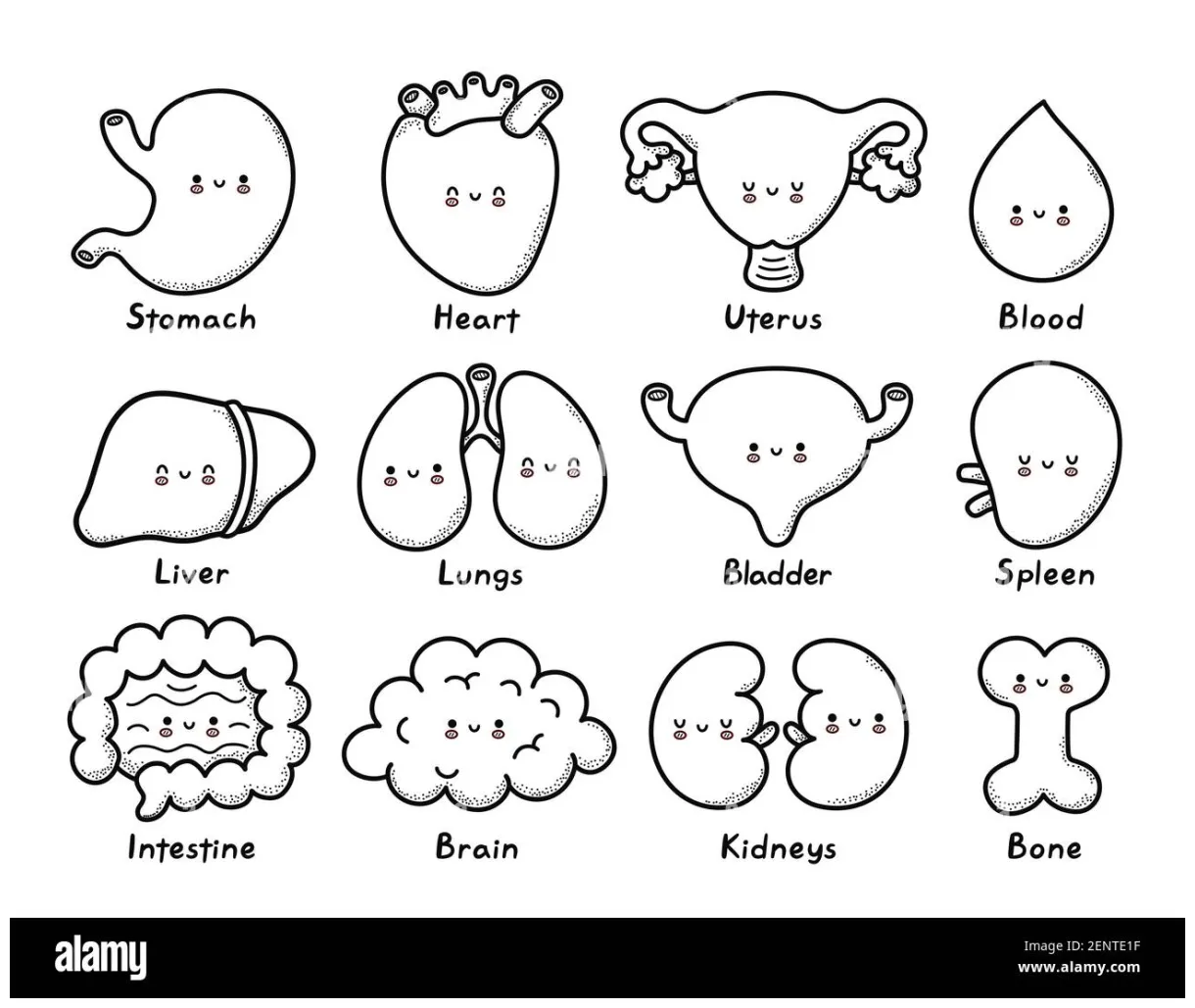 Coloring page bundle hi-res graphy and s alamy