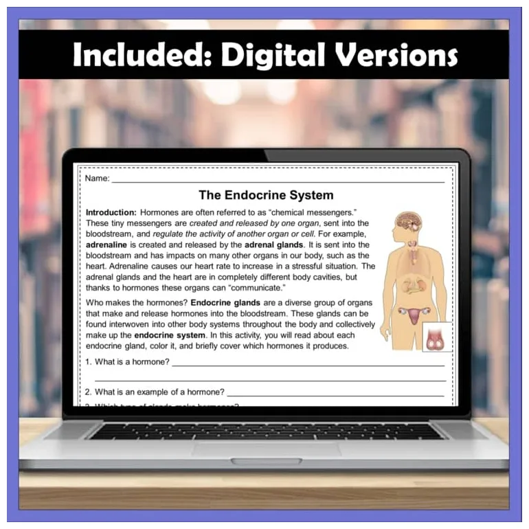 Organ system diagram coloring and activity packets bundle anatomy printable coloring page