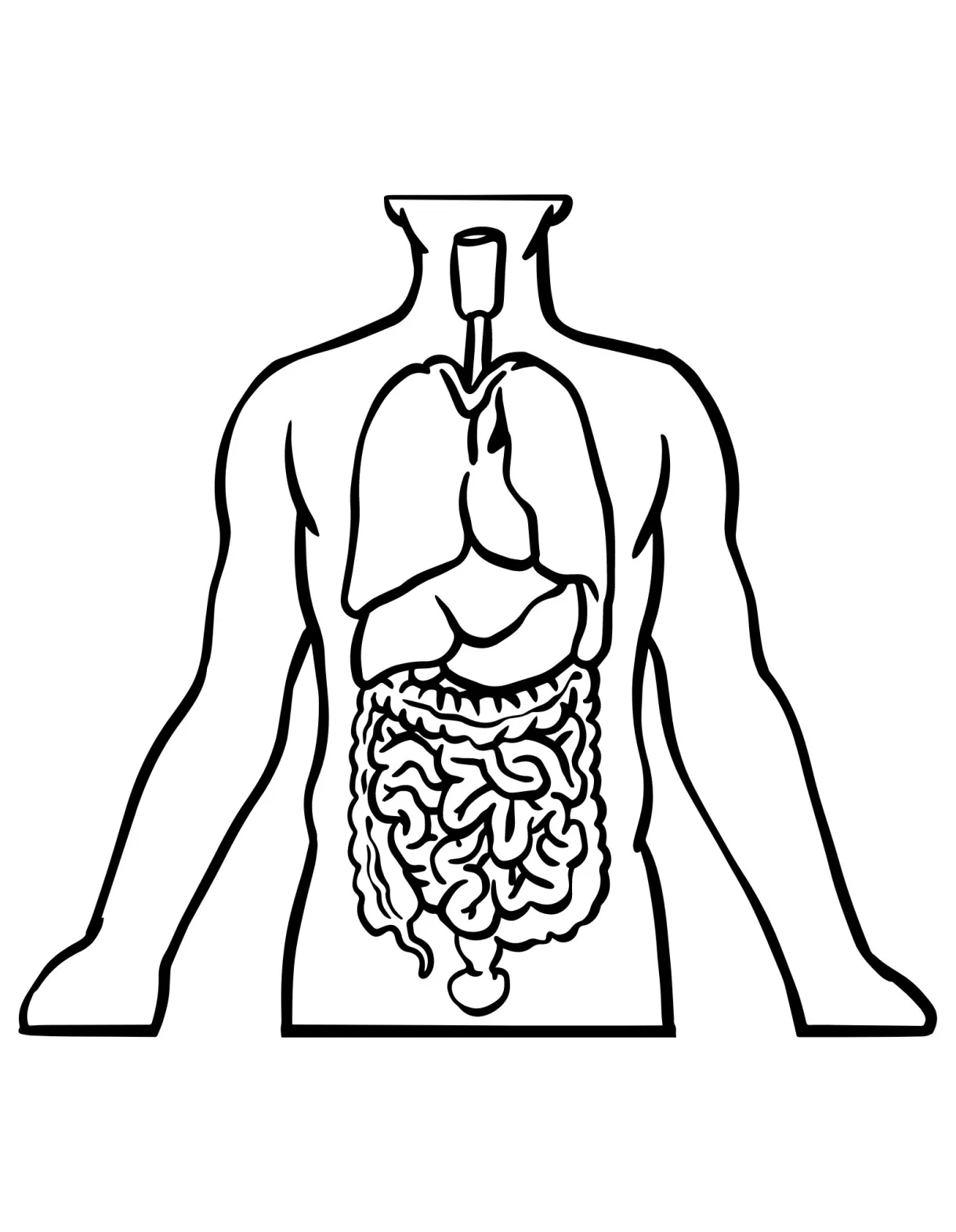 Organ Coloring Pages, Adult Coloring Pages, Printable Coloring Pages