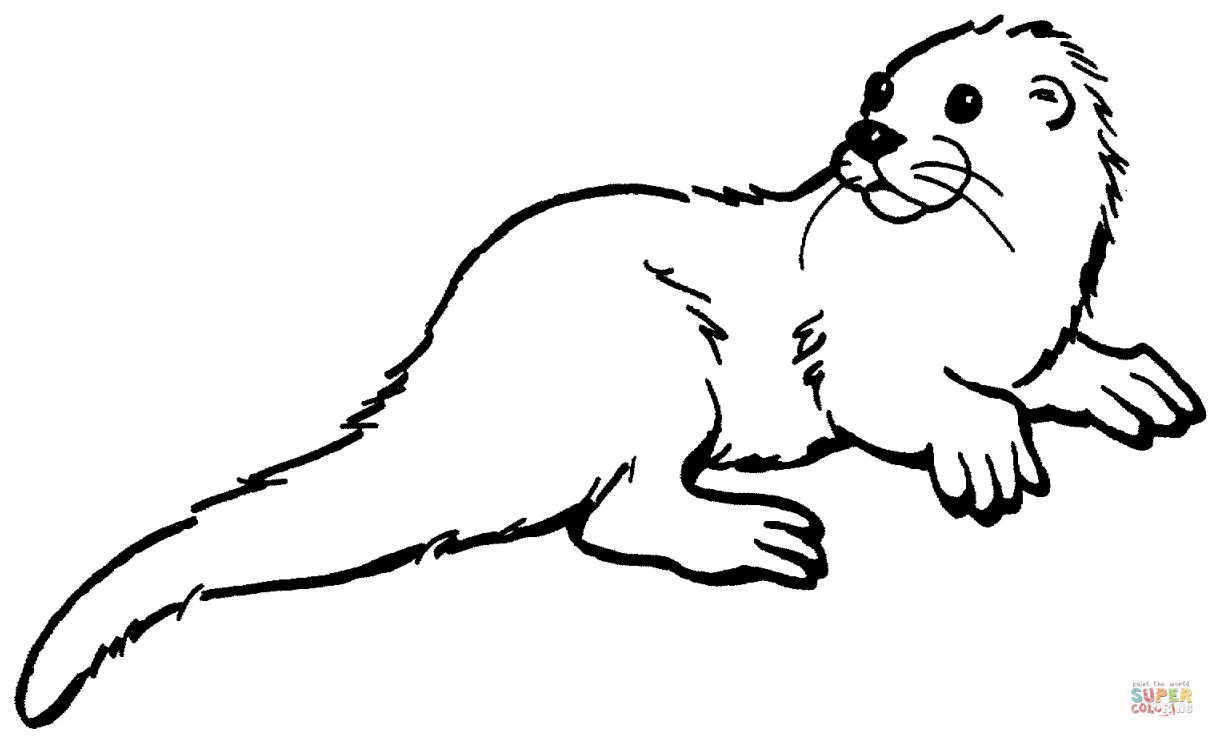 Otter 1 coloring page free printable coloring pages