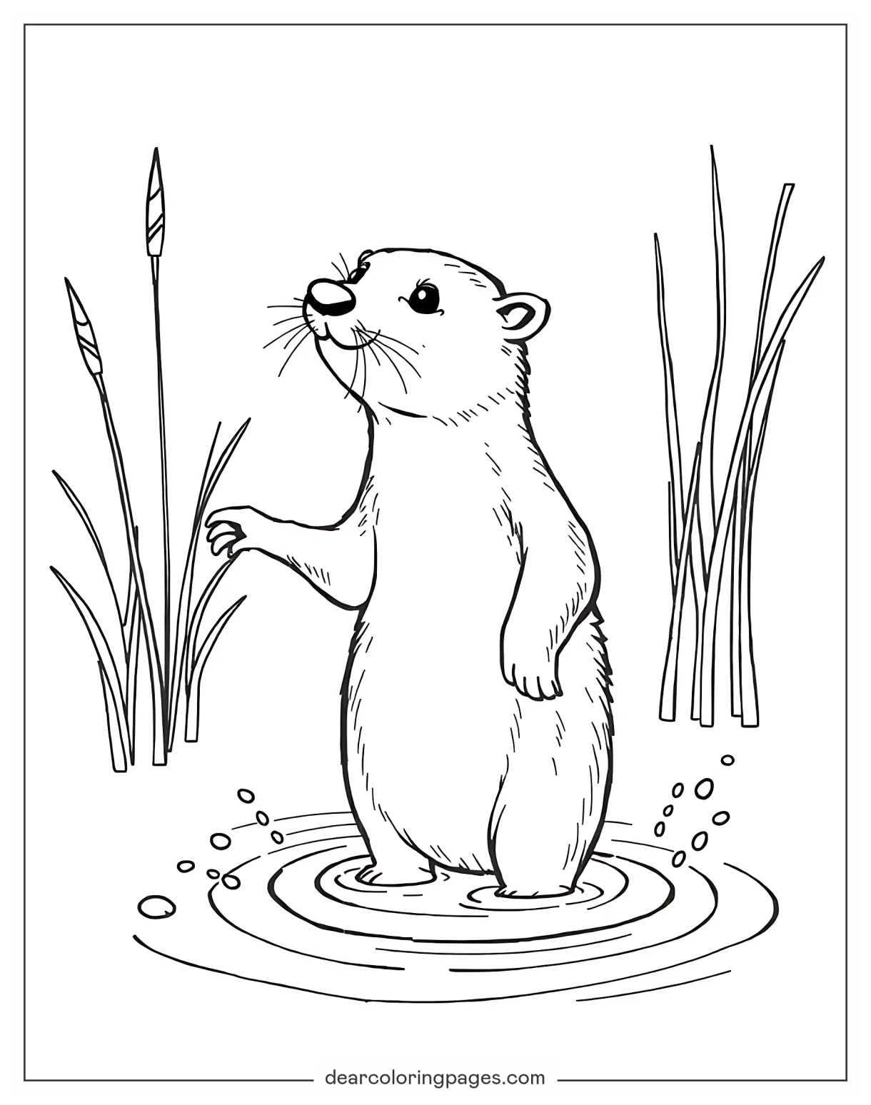 Otter Coloring Pages - 17 Free Printable Coloring Pages