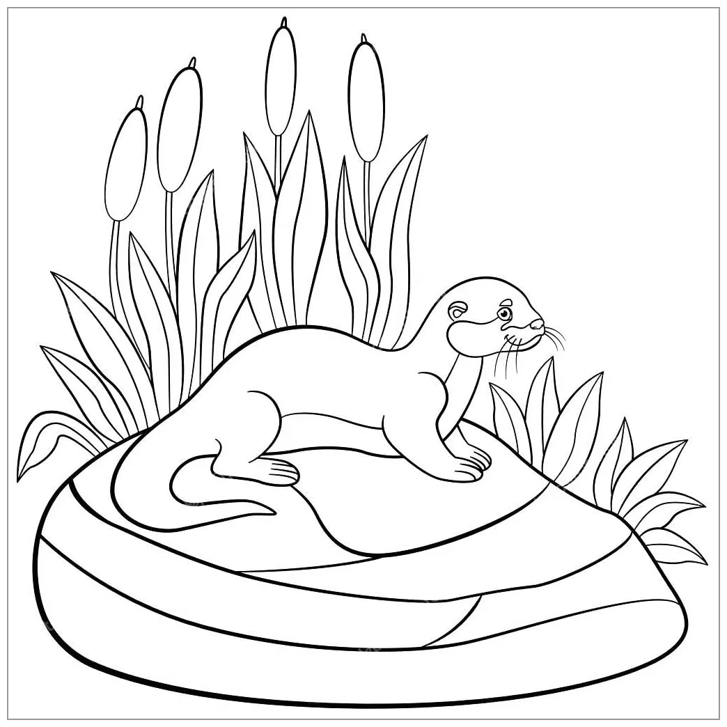 Otter Coloring Pages - ColoringBay