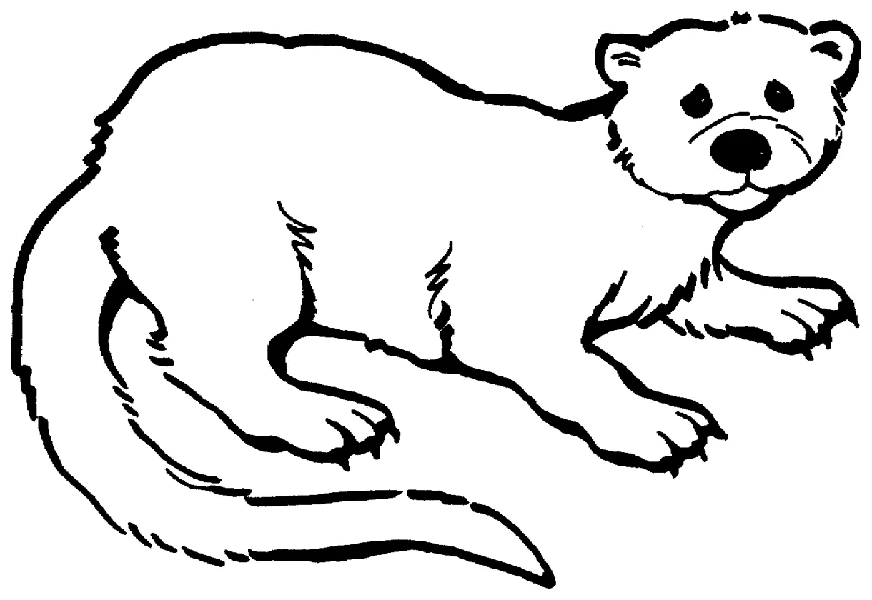 Free Otter Coloring Pages