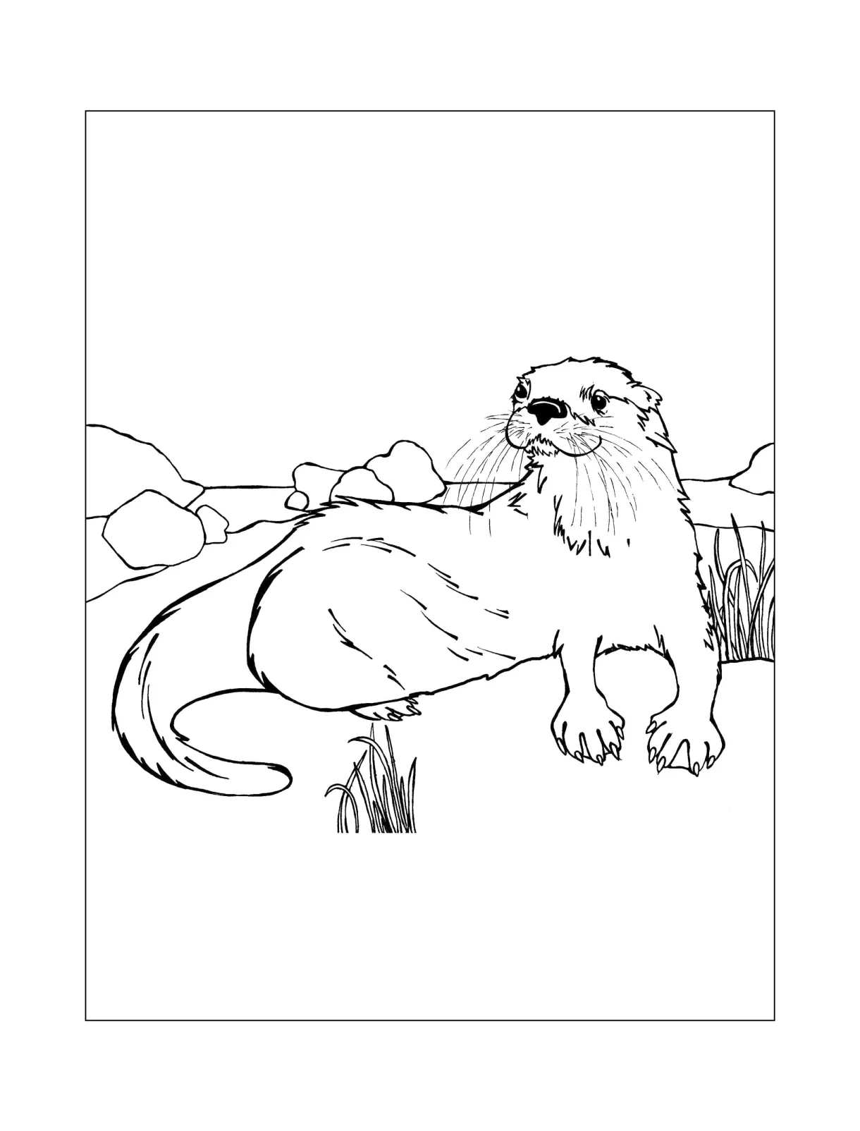 Otter coloring pages