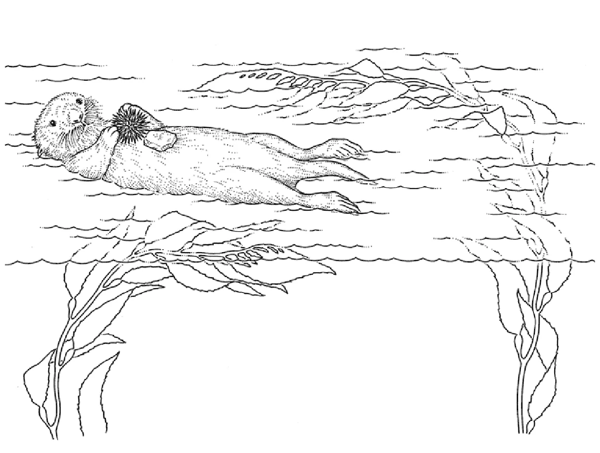 Otter coloring pages download and print for free