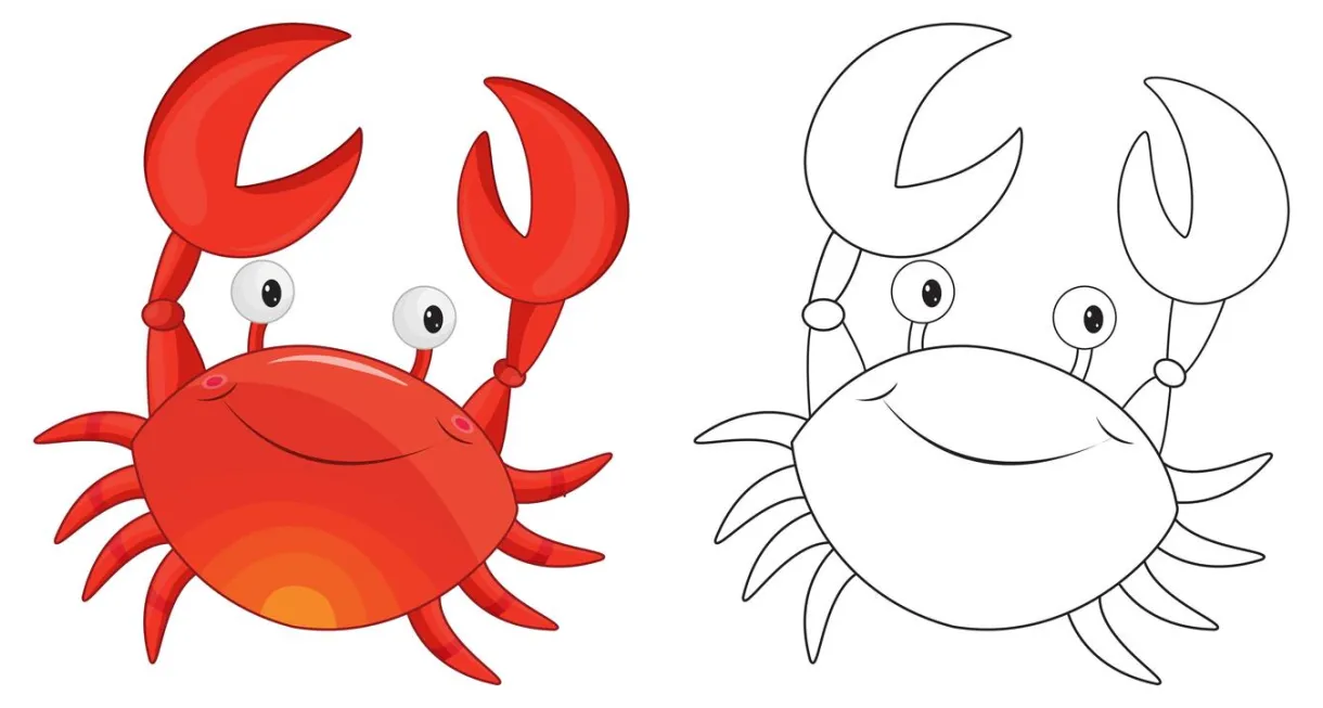 Vector art, icons, and graphics for