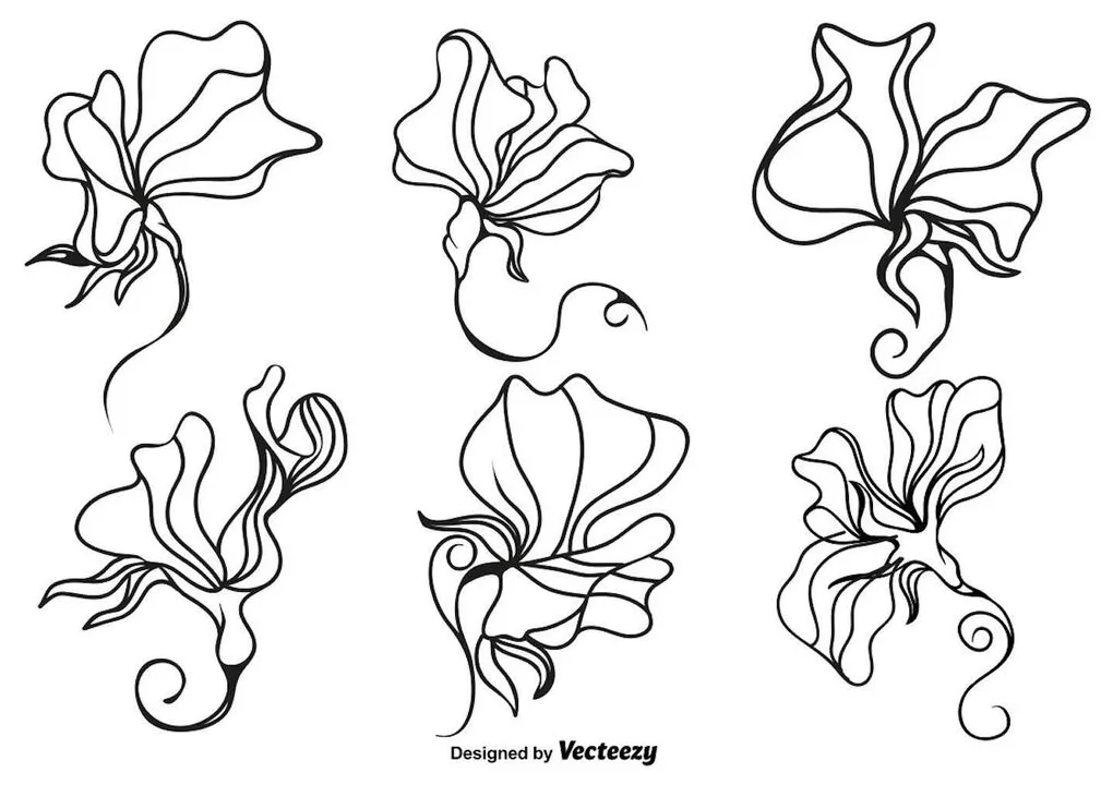 Vector art, icons, and graphics for