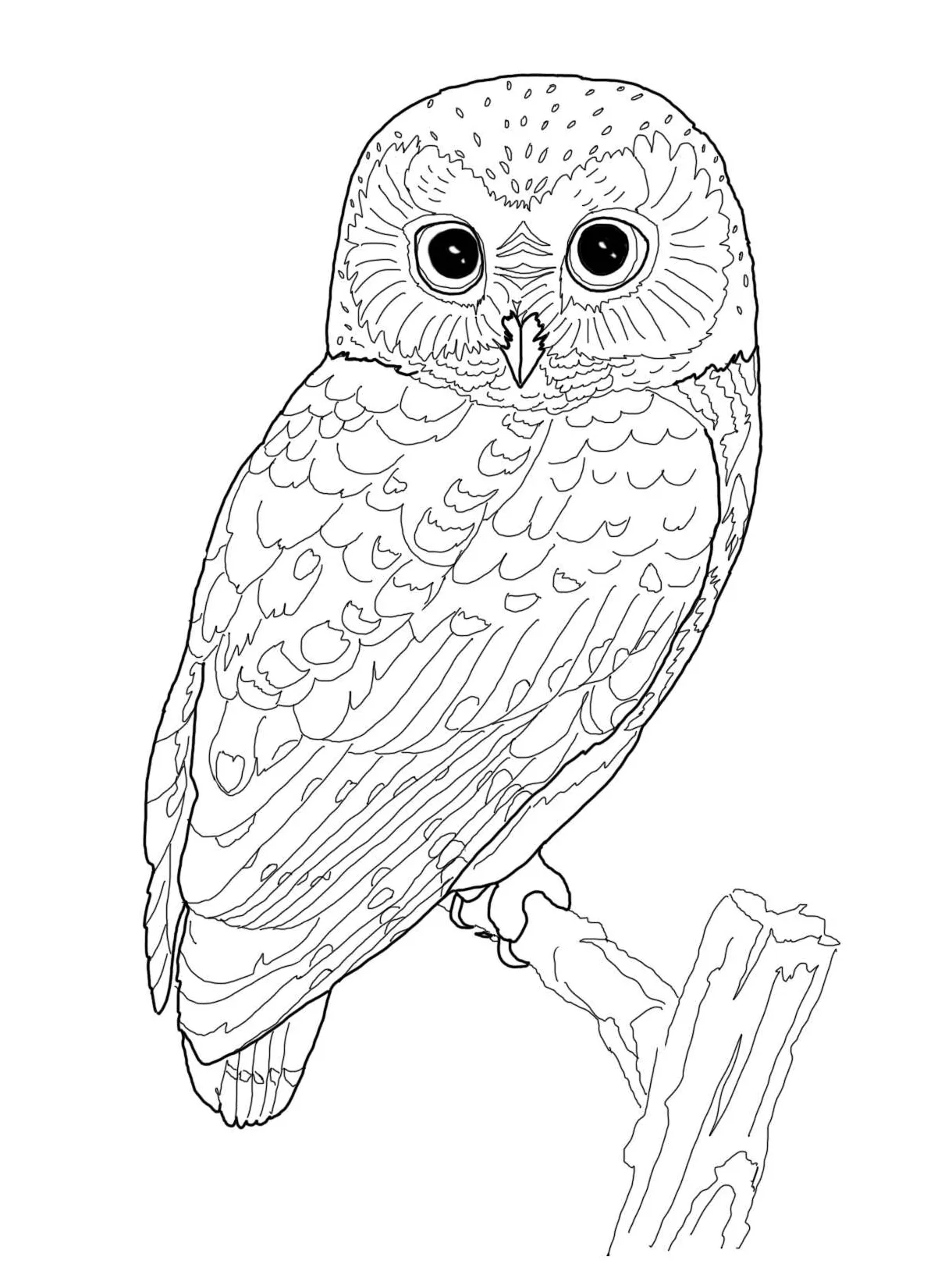 S printable coloring page