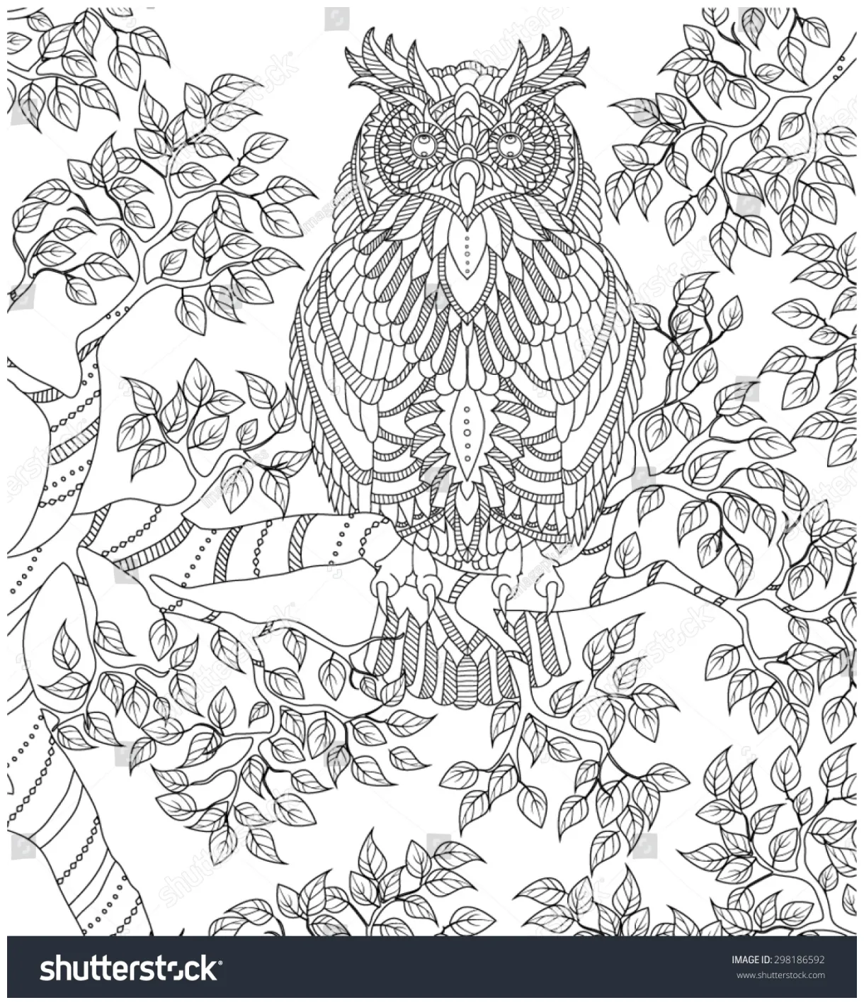 Owl coloring page Images, Stock Photos & Vectors | Shutterstock