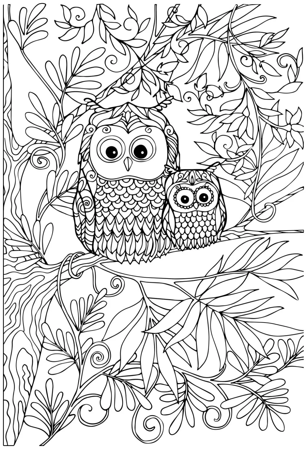 Beautiful Owl Coloring Page | My XXX Hot Girl