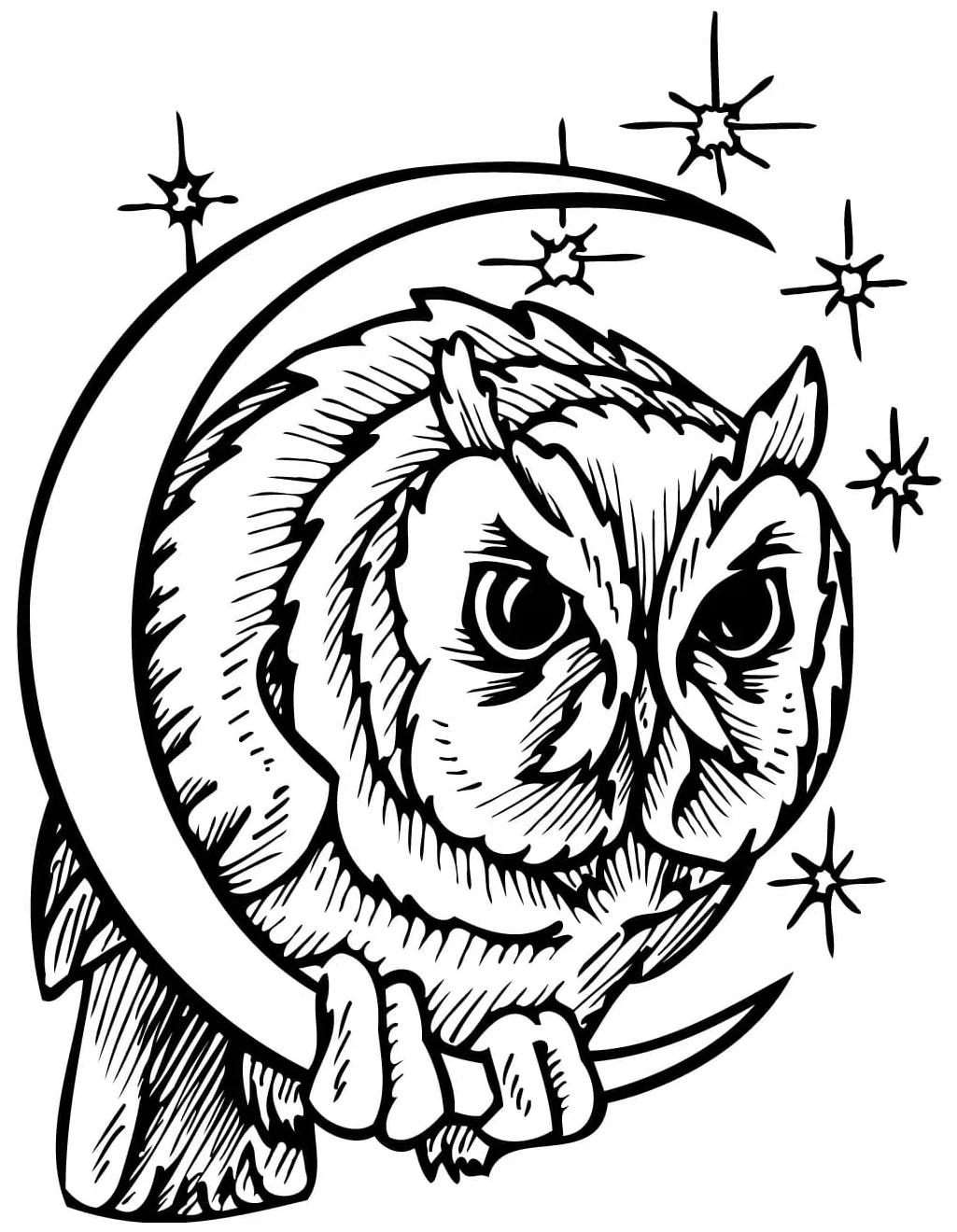 Crescent moon owl coloring page download, print or color online for free printable coloring page