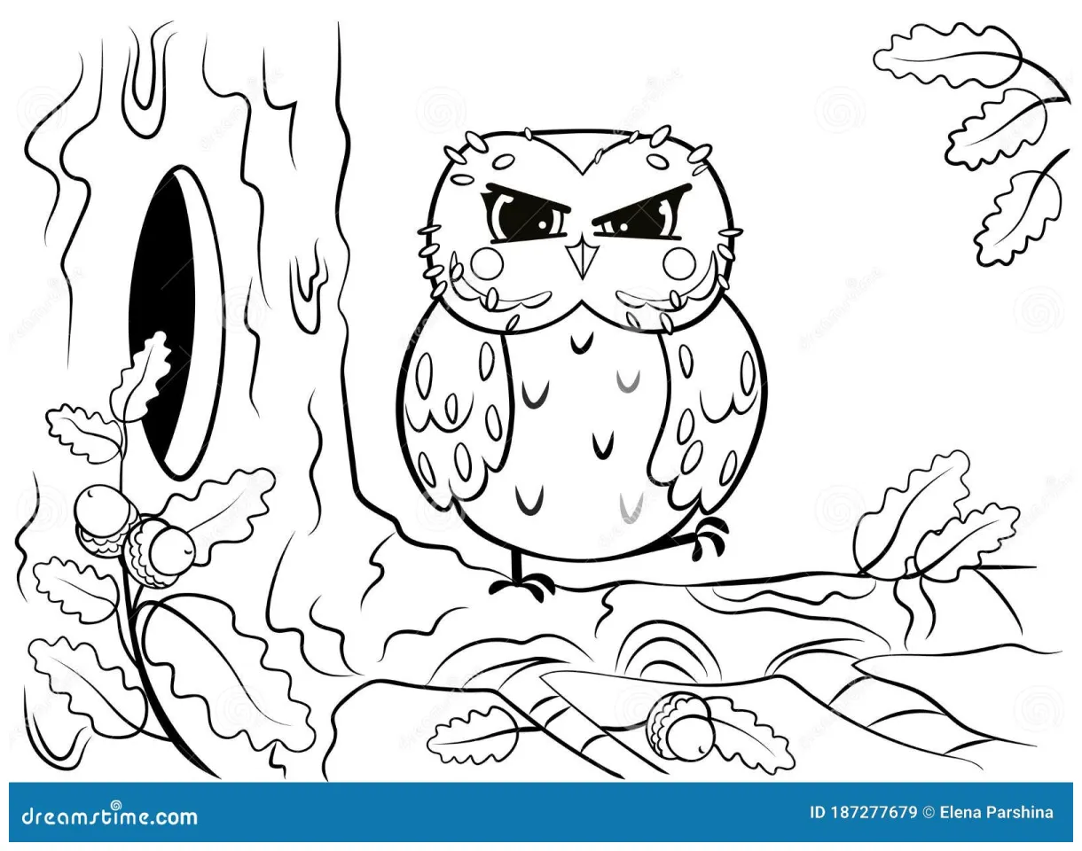 Printable coloring page outline of cute cartoon owl sitting on tree