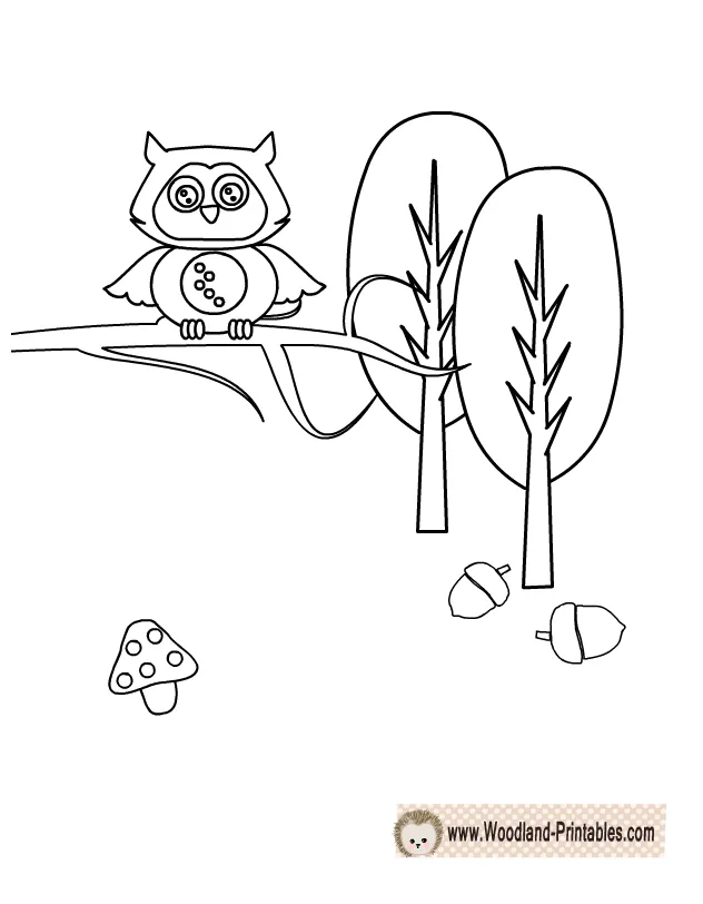Cute owl coloring page animal coloring pages, coloring pages, owl