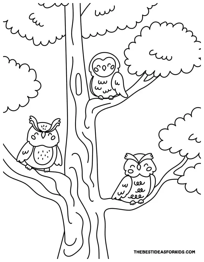 Owl Coloring Pages (Free Printables) - The Best Ideas for Kids