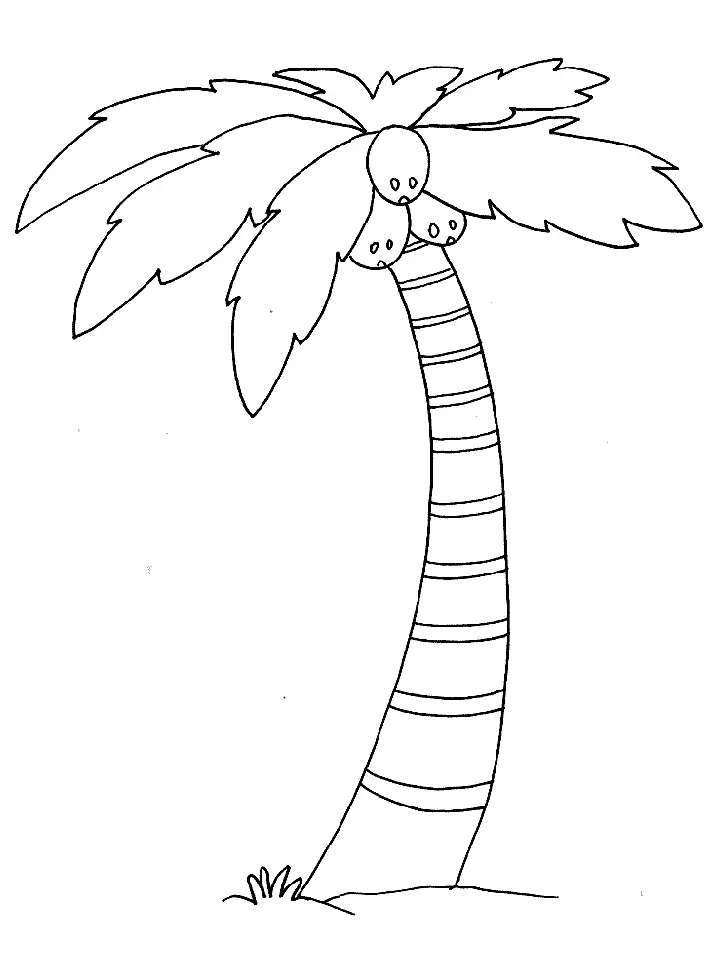 Palm tree coloring page