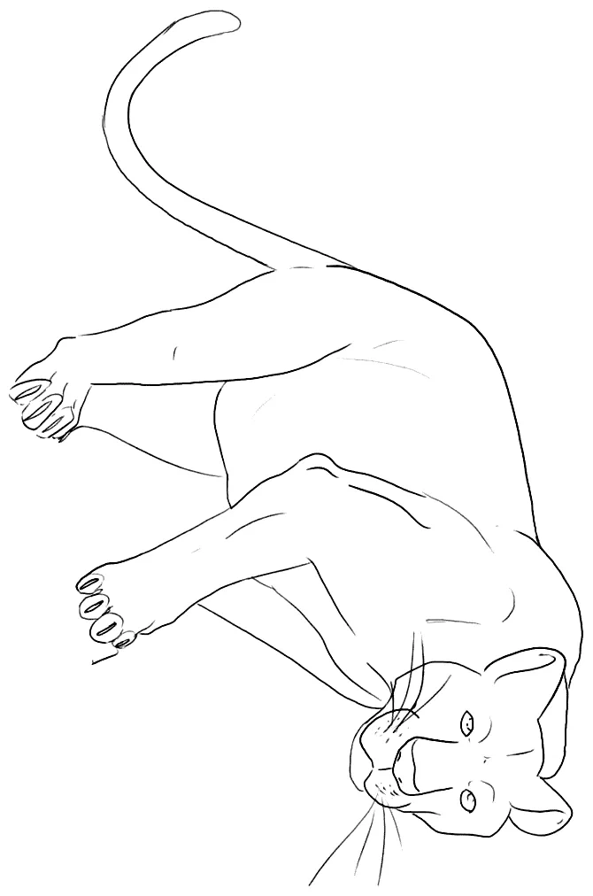 Animals town animals color sheet panther