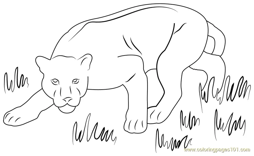 For kids free panther printable coloring pages